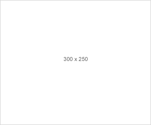 300x250